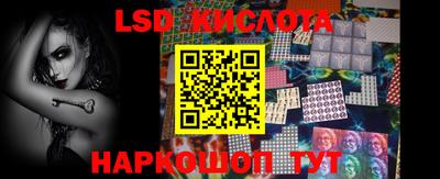 шишки Тара