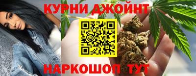 шишки Тара