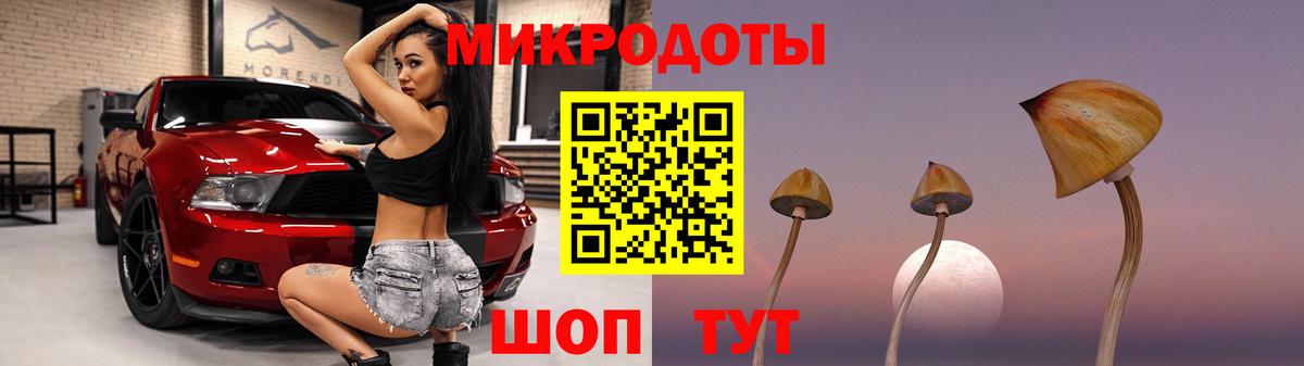 Галлюциногенные грибы Psilocybe  Галлюциногенные грибы мухоморы  Топки  Вход с VPN 